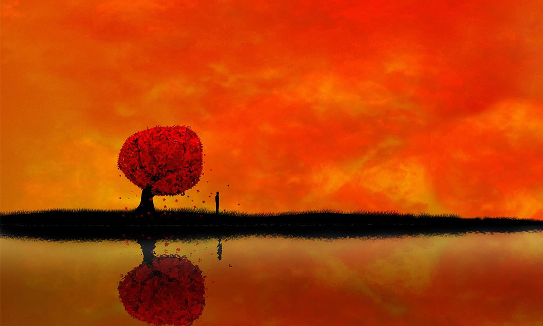 酒泉笙影微信朋友圈转发案例